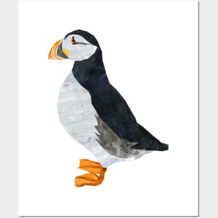 Puffin Posters and Art